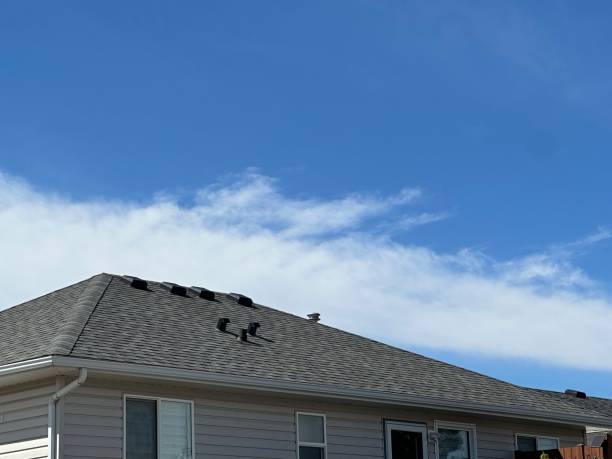 Best Gutter Installation and Repair  in Central City, IL